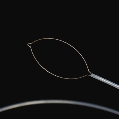 Тып сківіцы Іншарод